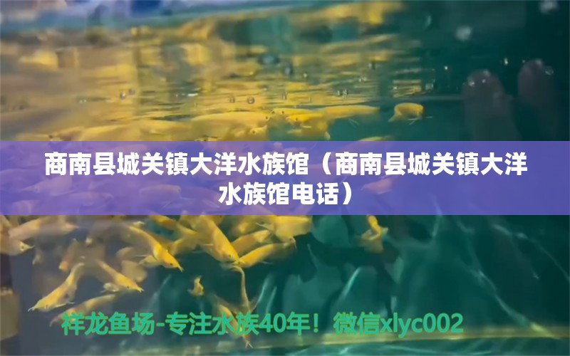 商南县城关镇大洋水族馆（商南县城关镇大洋水族馆电话） 全国水族馆企业名录