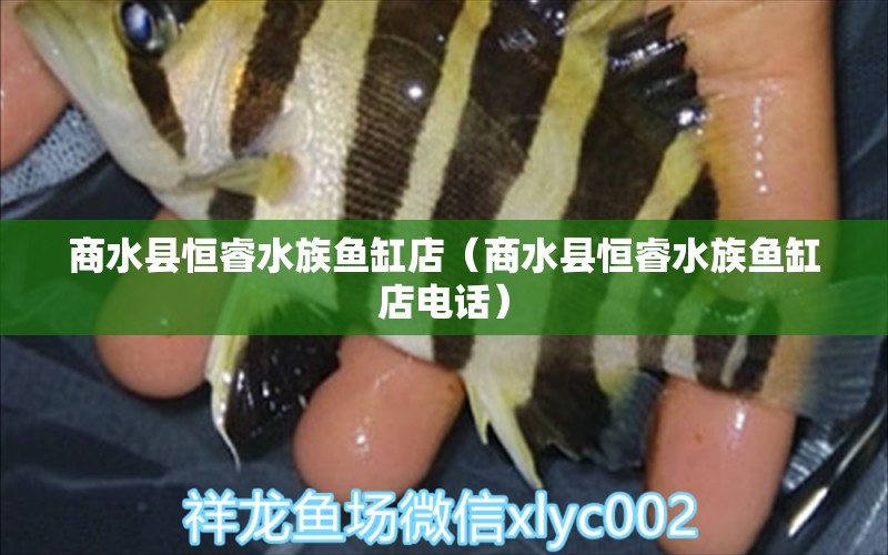 商水县恒睿水族鱼缸店（商水县恒睿水族鱼缸店电话） 全国水族馆企业名录