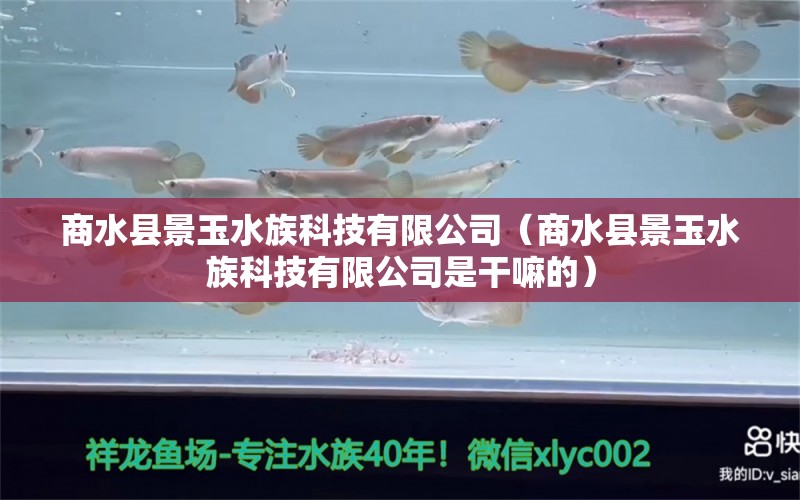 商水县景玉水族科技有限公司（商水县景玉水族科技有限公司是干嘛的）