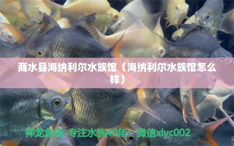 商水县海纳利尔水族馆（海纳利尔水族馆怎么样）