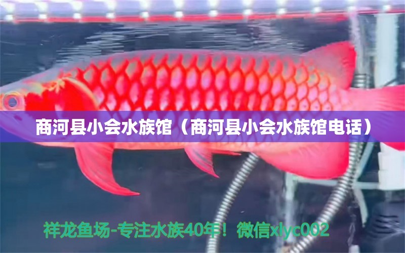 商河县小会水族馆（商河县小会水族馆电话） 全国水族馆企业名录