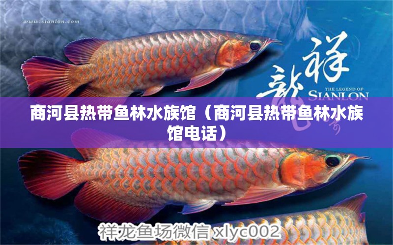 商河县热带鱼林水族馆（商河县热带鱼林水族馆电话） 全国水族馆企业名录