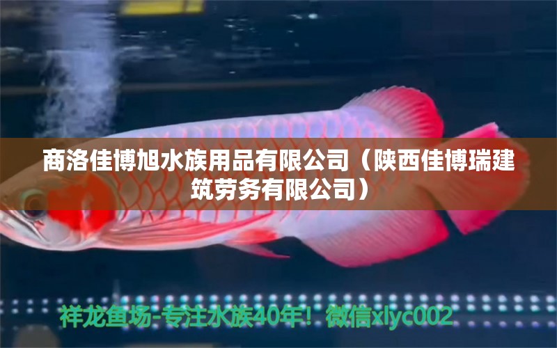 商洛佳博旭水族用品有限公司（陕西佳博瑞建筑劳务有限公司）