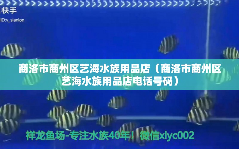 商洛市商州区艺海水族用品店（商洛市商州区艺海水族用品店电话号码）