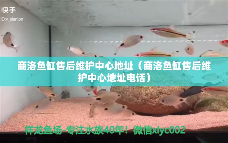 商洛鱼缸售后维护中心地址（商洛鱼缸售后维护中心地址电话） 其他品牌鱼缸