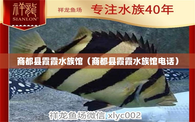 商都县霞霞水族馆（商都县霞霞水族馆电话）