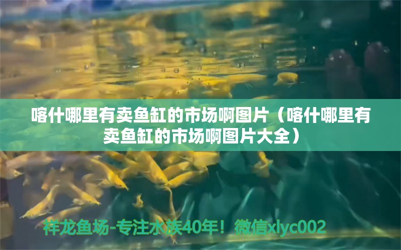 喀什哪里有卖鱼缸的市场啊图片（喀什哪里有卖鱼缸的市场啊图片大全）