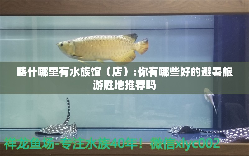 喀什哪里有水族馆（店）:你有哪些好的避暑旅游胜地推荐吗 观赏鱼水族批发市场