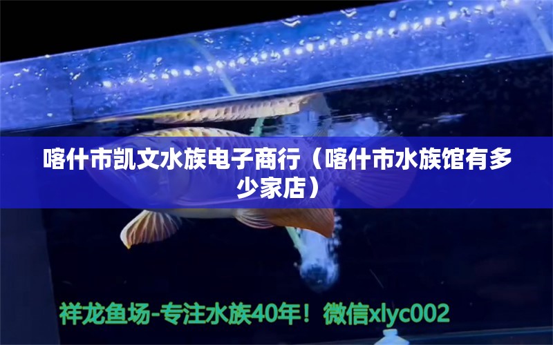 喀什市凯文水族电子商行（喀什市水族馆有多少家店）