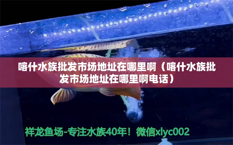 喀什水族批发市场地址在哪里啊（喀什水族批发市场地址在哪里啊电话） 观赏鱼水族批发市场