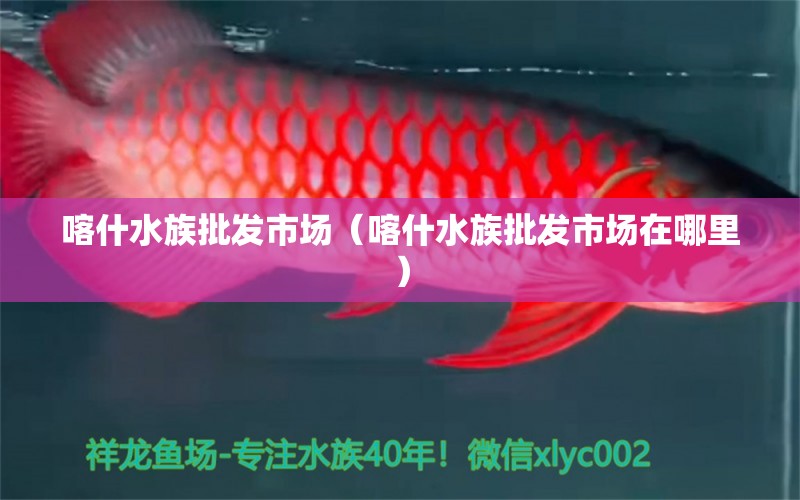 喀什水族批发市场（喀什水族批发市场在哪里）