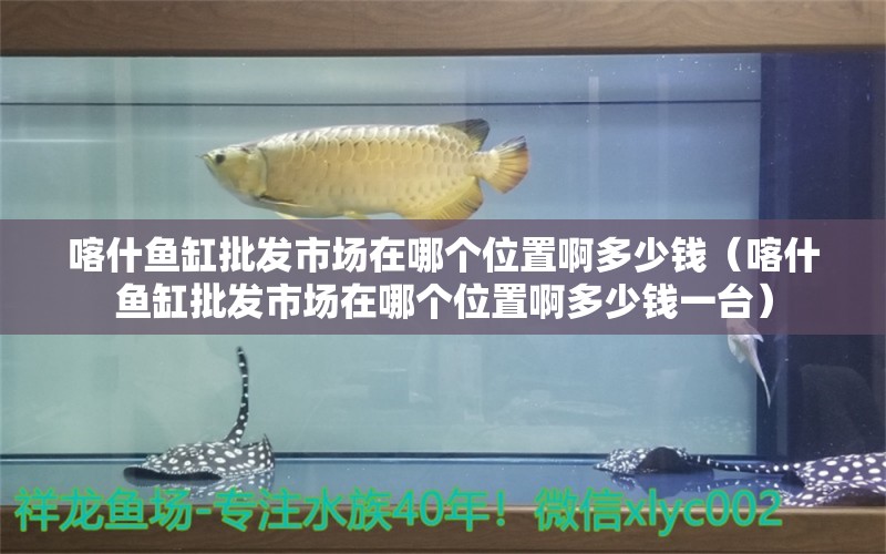 喀什鱼缸批发市场在哪个位置啊多少钱（喀什鱼缸批发市场在哪个位置啊多少钱一台）