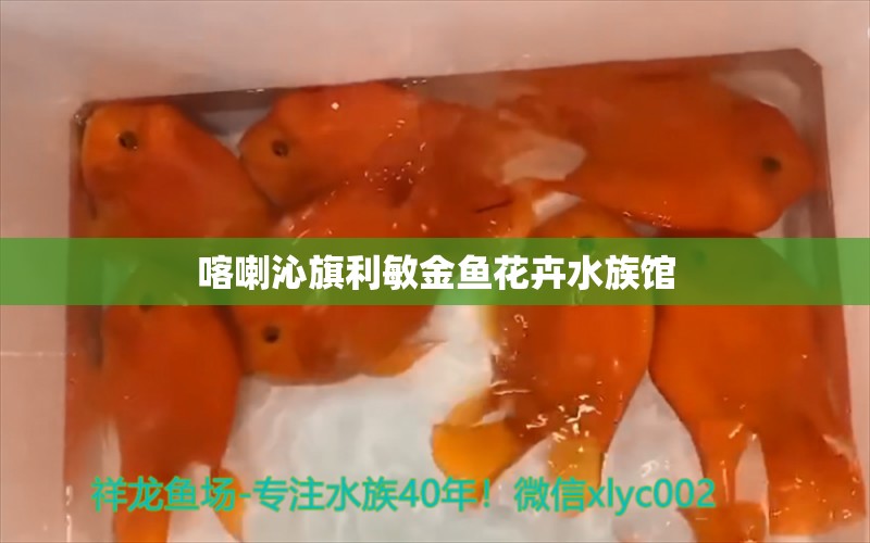 喀喇沁旗利敏金鱼花卉水族馆