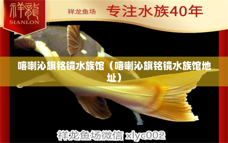 喀喇沁旗铭镜水族馆（喀喇沁旗铭镜水族馆地址） 全国水族馆企业名录