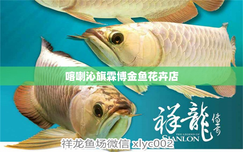 喀喇沁旗霖博金鱼花卉店 全国水族馆企业名录