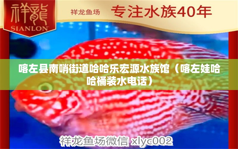 喀左县南哨街道哈哈乐宏源水族馆（喀左娃哈哈桶装水电话） 全国水族馆企业名录