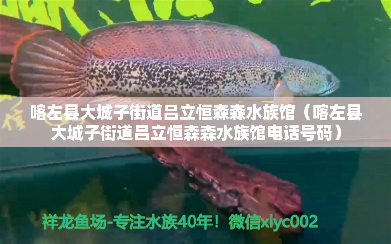 喀左县大城子街道吕立恒森森水族馆（喀左县大城子街道吕立恒森森水族馆电话号码）