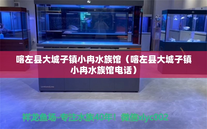 喀左县大城子镇小冉水族馆（喀左县大城子镇小冉水族馆电话） 全国水族馆企业名录