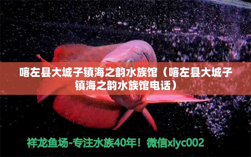 喀左县大城子镇海之韵水族馆（喀左县大城子镇海之韵水族馆电话）