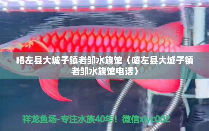 喀左县大城子镇老邹水族馆（喀左县大城子镇老邹水族馆电话） 全国水族馆企业名录