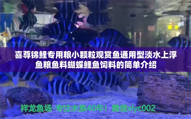 喜尊锦鲤专用粮小颗粒观赏鱼通用型淡水上浮鱼粮鱼料蝴蝶鲤鱼饲料的简单介绍