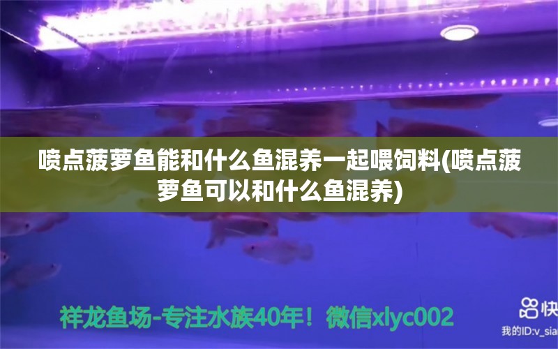 喷点菠萝鱼能和什么鱼混养一起喂饲料(喷点菠萝鱼可以和什么鱼混养) 喷点菠萝鱼