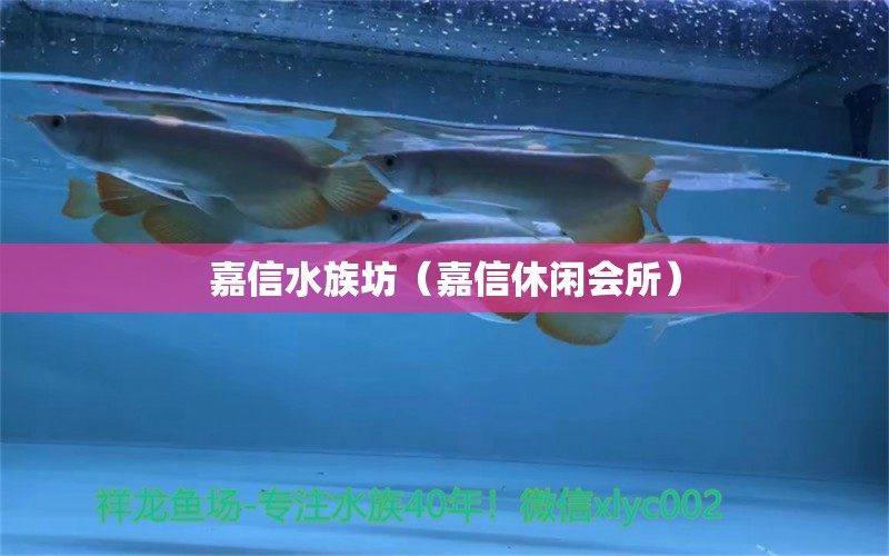 嘉信水族坊（嘉信休闲会所） 全国水族馆企业名录