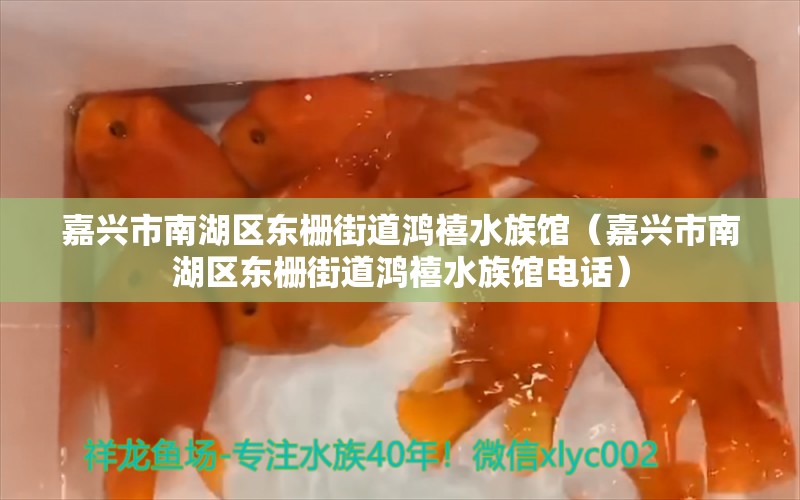 嘉兴市南湖区东栅街道鸿禧水族馆（嘉兴市南湖区东栅街道鸿禧水族馆电话）