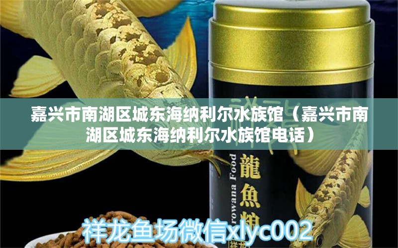 嘉兴市南湖区城东海纳利尔水族馆（嘉兴市南湖区城东海纳利尔水族馆电话）