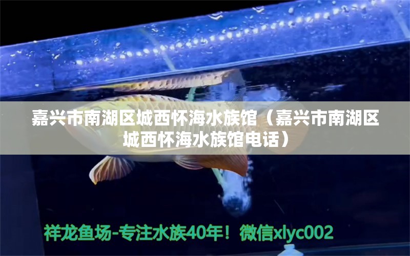 嘉兴市南湖区城西怀海水族馆（嘉兴市南湖区城西怀海水族馆电话）