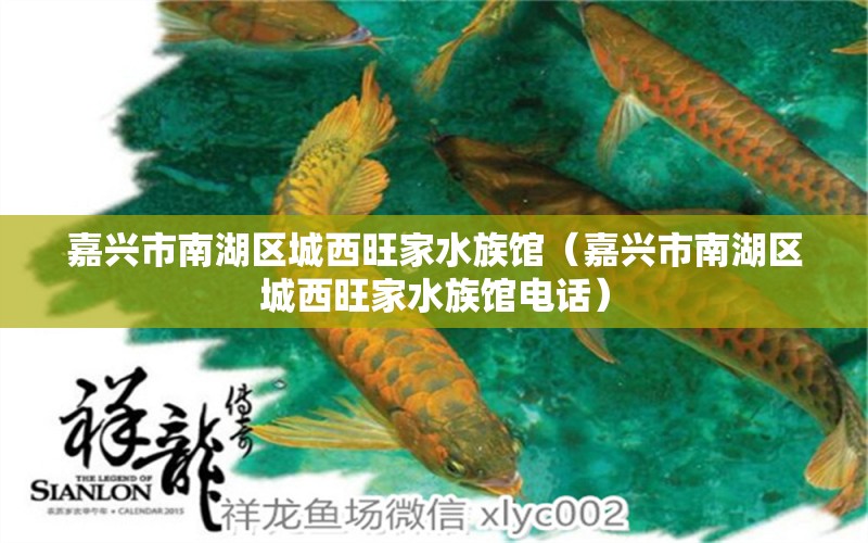 嘉兴市南湖区城西旺家水族馆（嘉兴市南湖区城西旺家水族馆电话） 全国水族馆企业名录