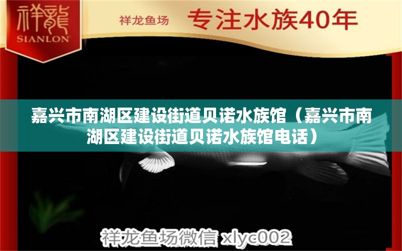 嘉兴市南湖区建设街道贝诺水族馆（嘉兴市南湖区建设街道贝诺水族馆电话） 全国水族馆企业名录