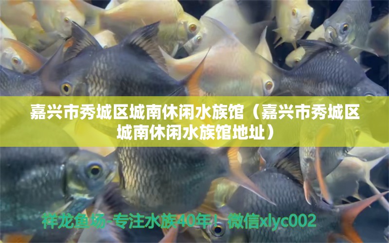 嘉兴市秀城区城南休闲水族馆（嘉兴市秀城区城南休闲水族馆地址） 全国水族馆企业名录