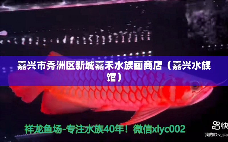 嘉兴市秀洲区新城嘉禾水族画商店（嘉兴水族馆） 全国水族馆企业名录