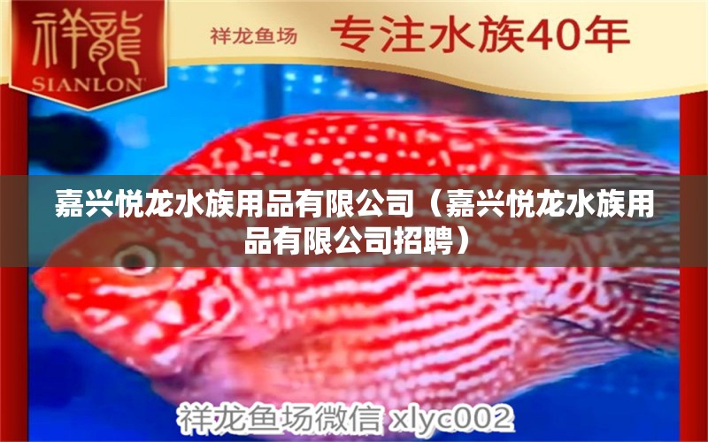 嘉兴悦龙水族用品有限公司（嘉兴悦龙水族用品有限公司招聘）