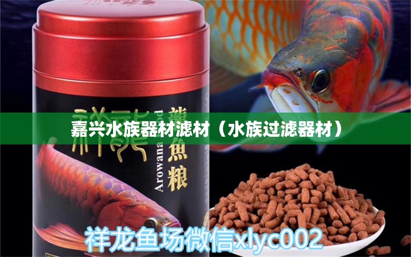 嘉兴水族器材滤材（水族过滤器材） 熊猫异形鱼L46 第1张