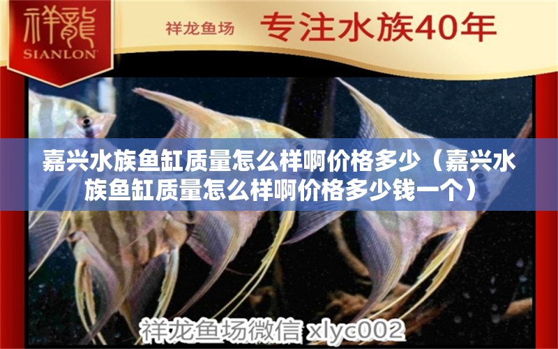 嘉兴水族鱼缸质量怎么样啊价格多少（嘉兴水族鱼缸质量怎么样啊价格多少钱一个） 帝王血钻鱼