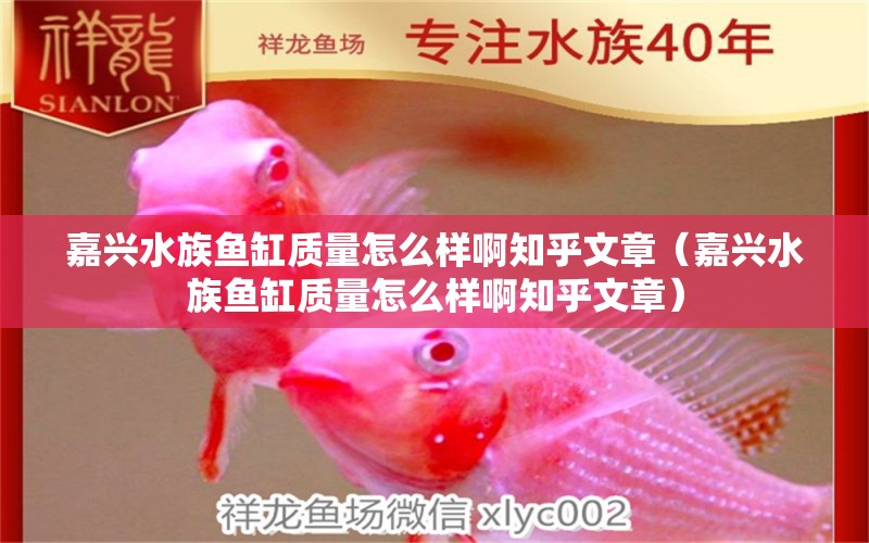 嘉兴水族鱼缸质量怎么样啊知乎文章（嘉兴水族鱼缸质量怎么样啊知乎文章） 硝化细菌