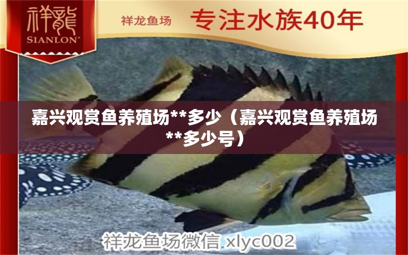 嘉兴观赏鱼养殖场**多少（嘉兴观赏鱼养殖场**多少号） 祥龙水族医院