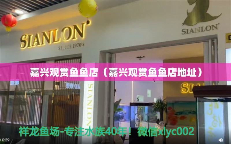 嘉兴观赏鱼鱼店（嘉兴观赏鱼鱼店地址）