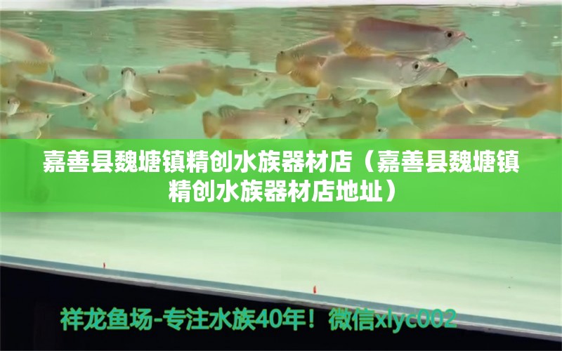 嘉善县魏塘镇精创水族器材店（嘉善县魏塘镇精创水族器材店地址） 全国水族馆企业名录