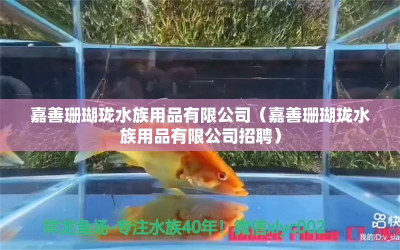 嘉善珊瑚珑水族用品有限公司（嘉善珊瑚珑水族用品有限公司招聘）