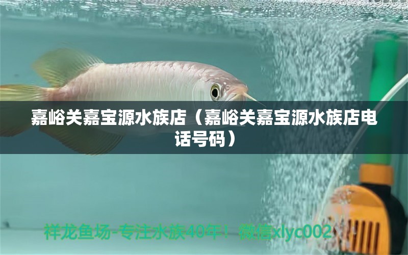 嘉峪关嘉宝源水族店（嘉峪关嘉宝源水族店电话号码）