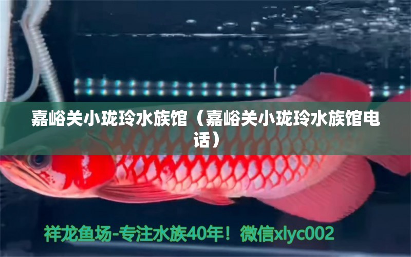 嘉峪关小珑玲水族馆（嘉峪关小珑玲水族馆电话） 全国水族馆企业名录