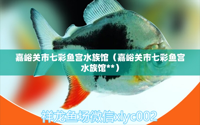 嘉峪关市七彩鱼宫水族馆（嘉峪关市七彩鱼宫水族馆**）