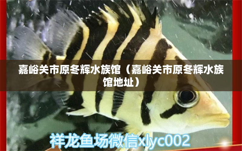 嘉峪关市原冬辉水族馆（嘉峪关市原冬辉水族馆地址） 全国水族馆企业名录