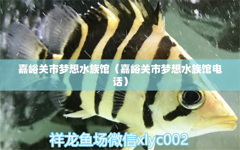 嘉峪关市梦想水族馆（嘉峪关市梦想水族馆电话）