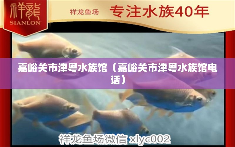 嘉峪关市津粤水族馆（嘉峪关市津粤水族馆电话） 全国水族馆企业名录