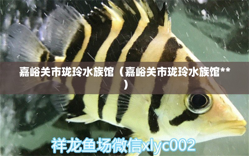 嘉峪关市珑玲水族馆（嘉峪关市珑玲水族馆**） 全国水族馆企业名录