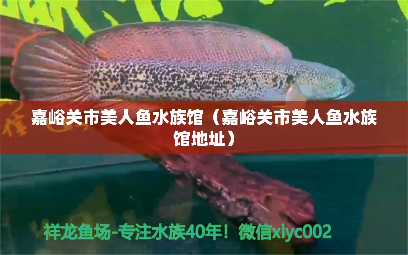 嘉峪关市美人鱼水族馆（嘉峪关市美人鱼水族馆地址）